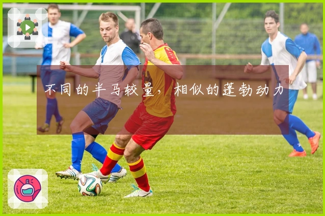 不同的半马较量，相似的蓬勃动力